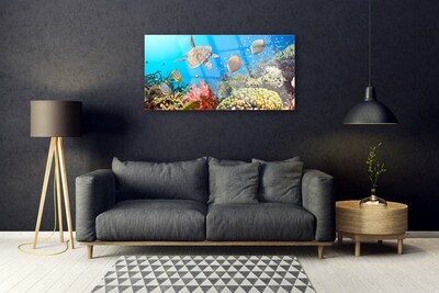 Image sur verre Tableau Récif de corail paysage multicolore
