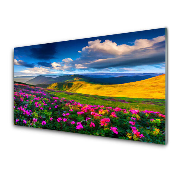 Image sur verre Tableau Fleurs prairie nature vert bleu rose rouge