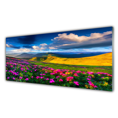 Image sur verre Tableau Fleurs prairie nature vert bleu rose rouge
