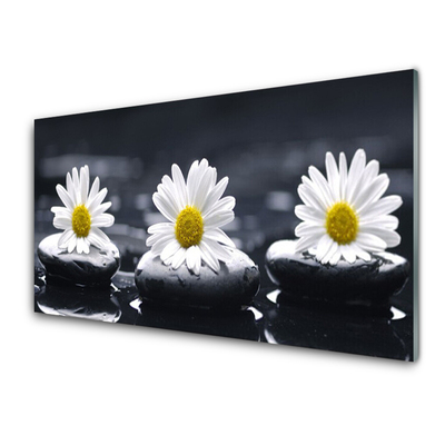 Image sur verre Tableau Marguerite pierres floral jaune blanc noir