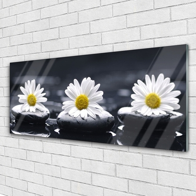 Image sur verre Tableau Marguerite pierres floral jaune blanc noir