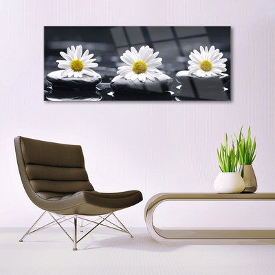 Image sur verre Tableau Marguerite pierres floral jaune blanc noir