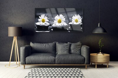 Image sur verre Tableau Marguerite pierres floral jaune blanc noir