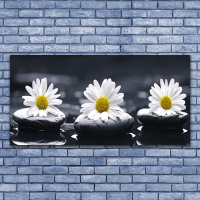 Image sur verre Tableau Marguerite pierres floral jaune blanc noir