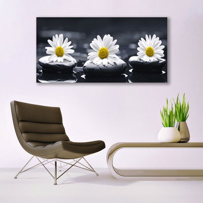 Image sur verre Tableau Marguerite pierres floral jaune blanc noir