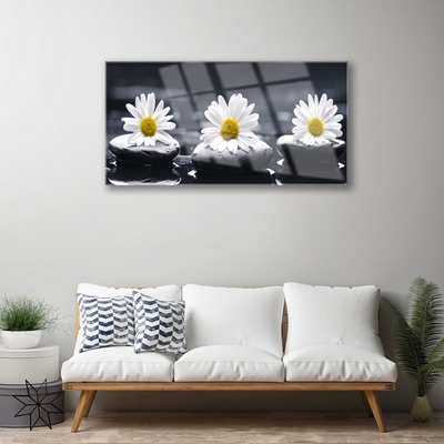 Image sur verre Tableau Marguerite pierres floral jaune blanc noir