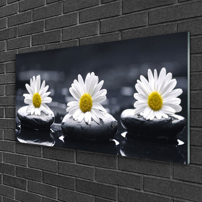 Image sur verre Tableau Marguerite pierres floral jaune blanc noir