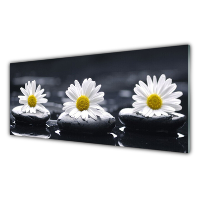 Image sur verre Tableau Marguerite pierres floral jaune blanc noir