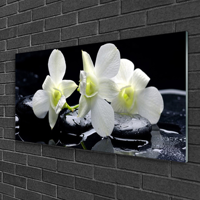 Image sur verre Tableau Pierres fleurs floral blanc noir