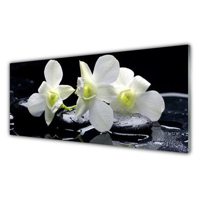 Image sur verre Tableau Pierres fleurs floral blanc noir