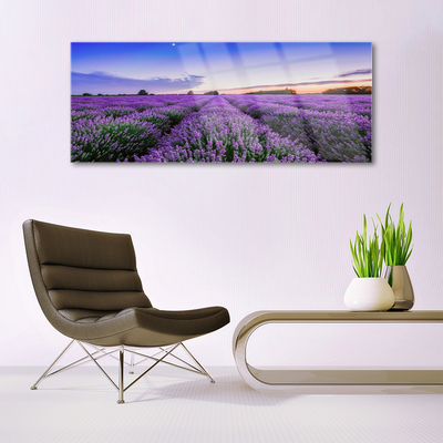 Image sur verre Tableau Prairie fleurs nature violet vert