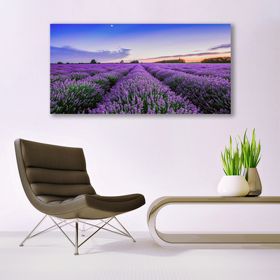 Image sur verre Tableau Prairie fleurs nature violet vert