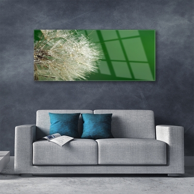 Image sur verre Tableau Pissenlit floral blanc vert