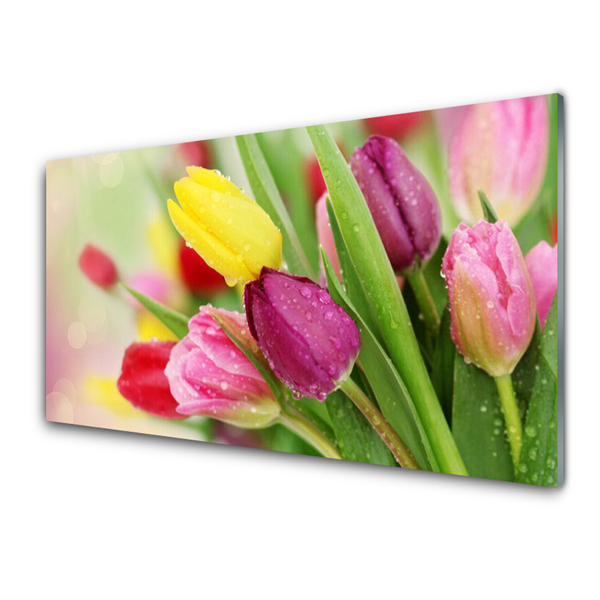 Image sur verre Tableau Tulipes floral vert rouge
