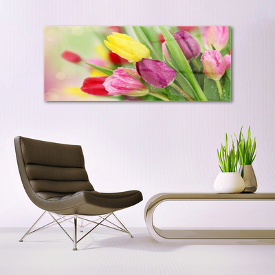 Image sur verre Tableau Tulipes floral vert rouge