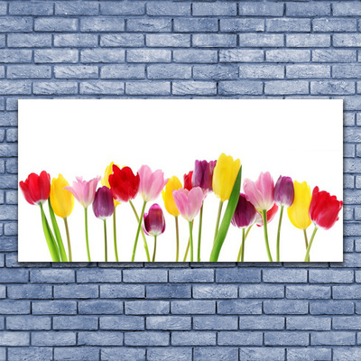 Image sur verre Tableau Tulipes floral multicolore
