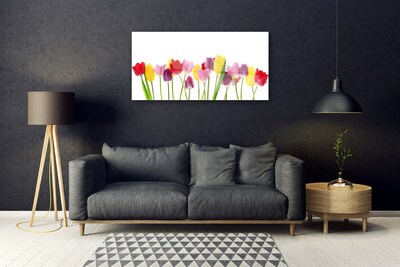 Image sur verre Tableau Tulipes floral multicolore