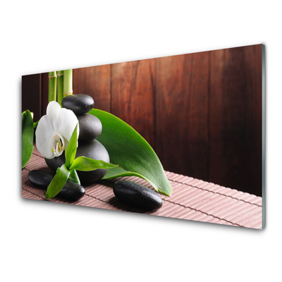 Image sur verre Tableau Fleurs pierres feuilles floral blanc noir vert