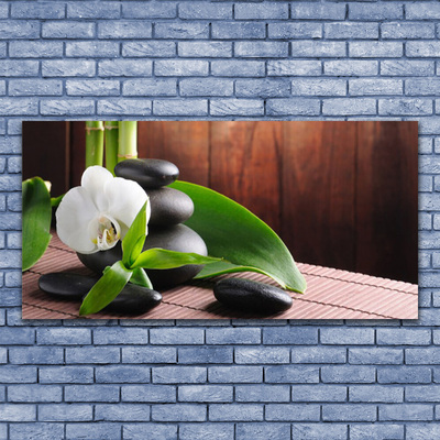 Image sur verre Tableau Fleurs pierres feuilles floral blanc noir vert
