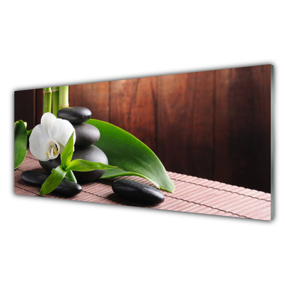 Image sur verre Tableau Fleurs pierres feuilles floral blanc noir vert