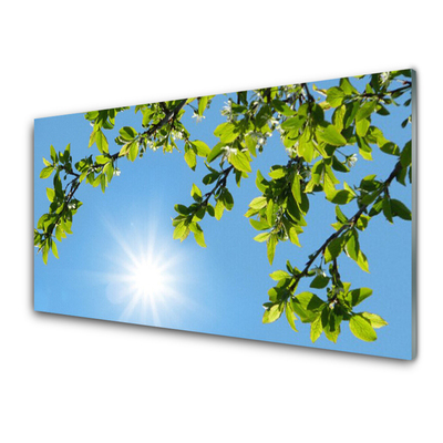 Image sur verre Tableau Soleil nature blanc