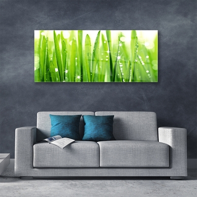 Image sur verre Tableau Herbe floral vert