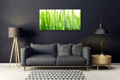 Image sur verre Tableau Herbe floral vert