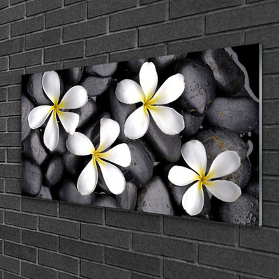 Image sur verre Tableau Fleurs floral blanc