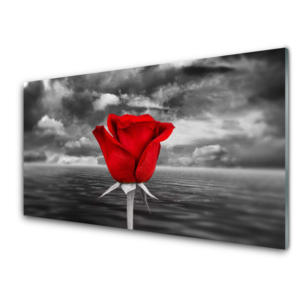 Image sur verre Tableau Rose floral rouge gris