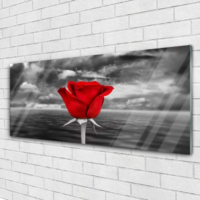 Image sur verre Tableau Rose floral rouge gris