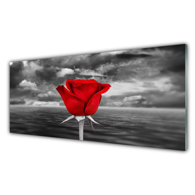 Image sur verre Tableau Rose floral rouge gris