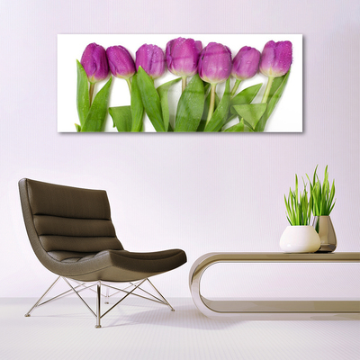 Image sur verre Tableau Tulipes floral rouge vert