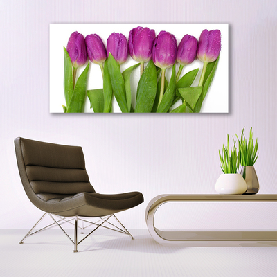 Image sur verre Tableau Tulipes floral rouge vert