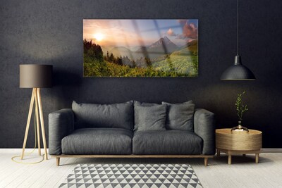 Image sur verre Tableau Montagne forêt nature gris vert