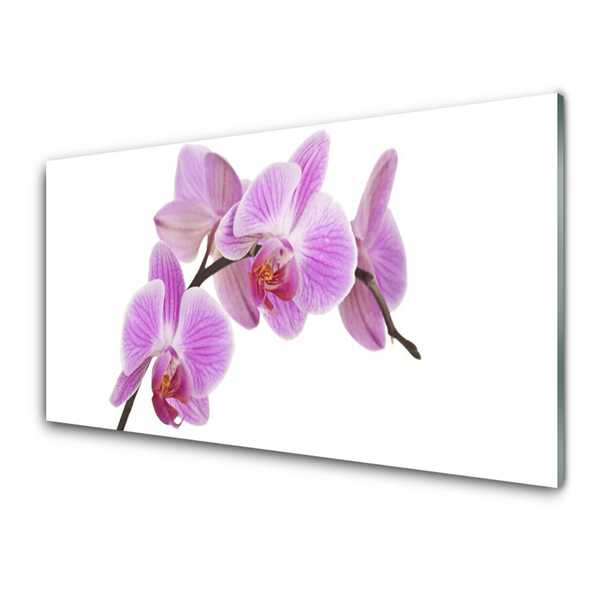 Image sur verre Tableau Fleurs floral rose