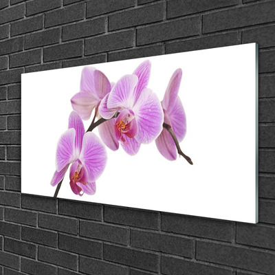 Image sur verre Tableau Fleurs floral rose