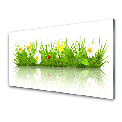 Image sur verre Tableau Herbe nature vert