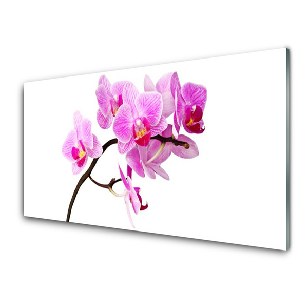 Image sur verre Tableau Fleurs floral rose brun