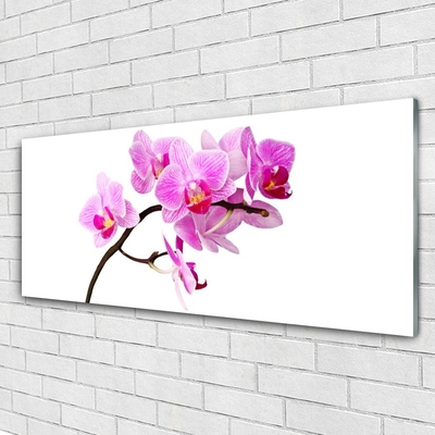 Image sur verre Tableau Fleurs floral rose brun