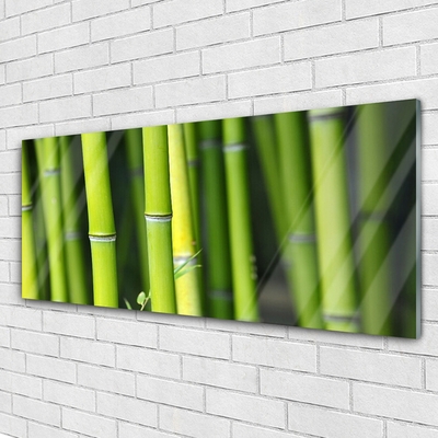 Image sur verre Tableau Bambou nature vert
