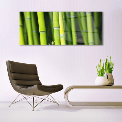Image sur verre Tableau Bambou nature vert