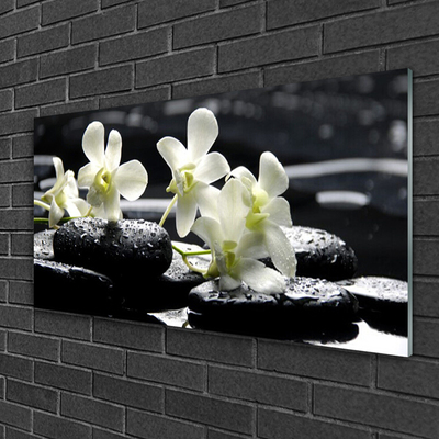 Image sur verre Tableau Fleurs pierres floral blanc noir