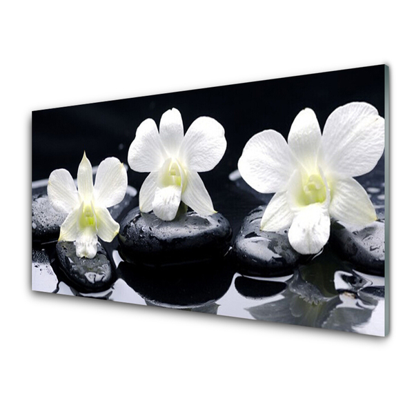 Image sur verre Tableau Pierres fleurs floral blanc noir