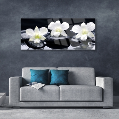 Image sur verre Tableau Pierres fleurs floral blanc noir