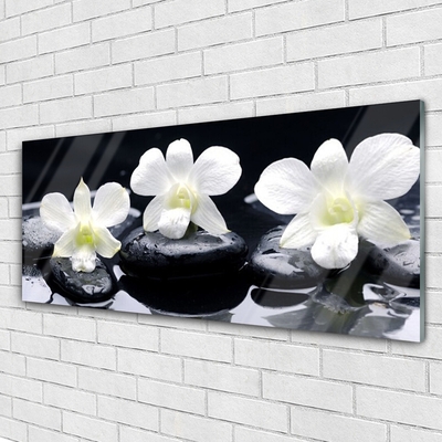 Image sur verre Tableau Pierres fleurs floral blanc noir