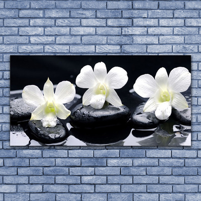 Image sur verre Tableau Pierres fleurs floral blanc noir