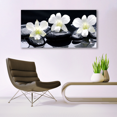 Image sur verre Tableau Pierres fleurs floral blanc noir