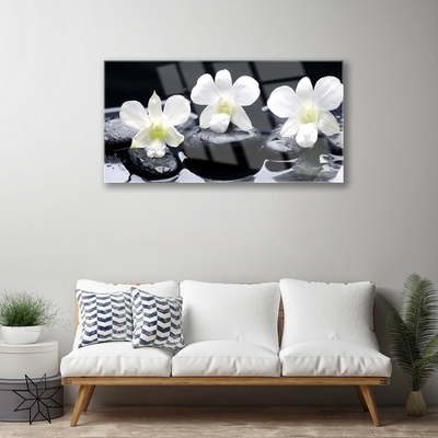 Image sur verre Tableau Pierres fleurs floral blanc noir