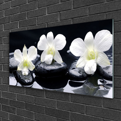 Image sur verre Tableau Pierres fleurs floral blanc noir