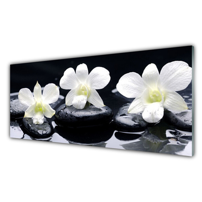 Image sur verre Tableau Pierres fleurs floral blanc noir